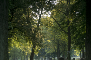 bethlehem grave yard